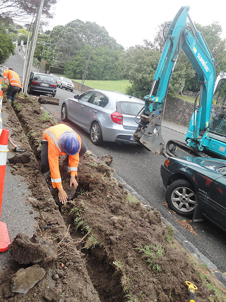 J9集团挖掘机畅销新西兰