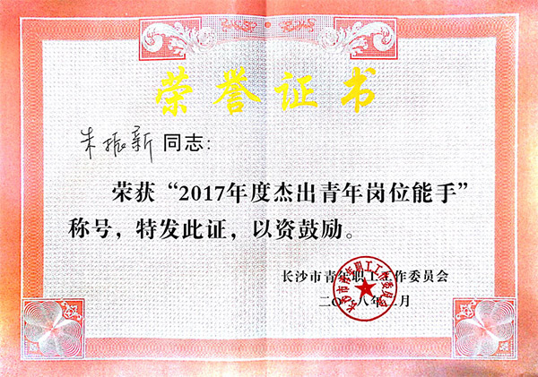 J9集团智能朱振新荣获长沙市2017年度卓越青年岗位能手