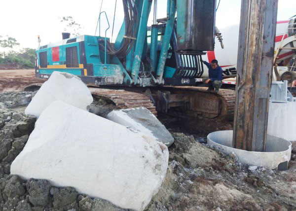 肯尼亚总统高度赞赏，乞力马扎罗山下J9集团绿闪灼