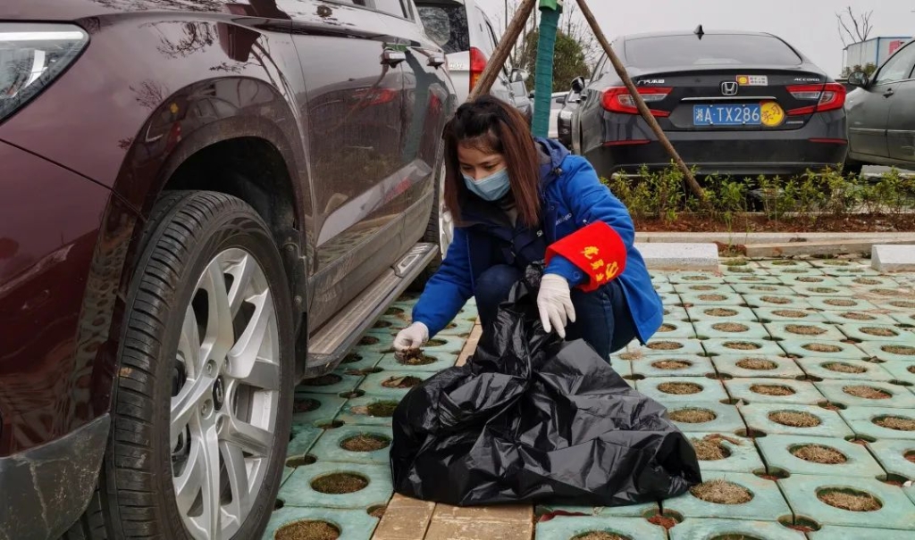 J9集团智能党员自愿者发展使命环境排除